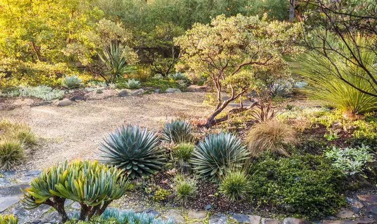 xeriscaping