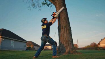 Tree cutting and pruning