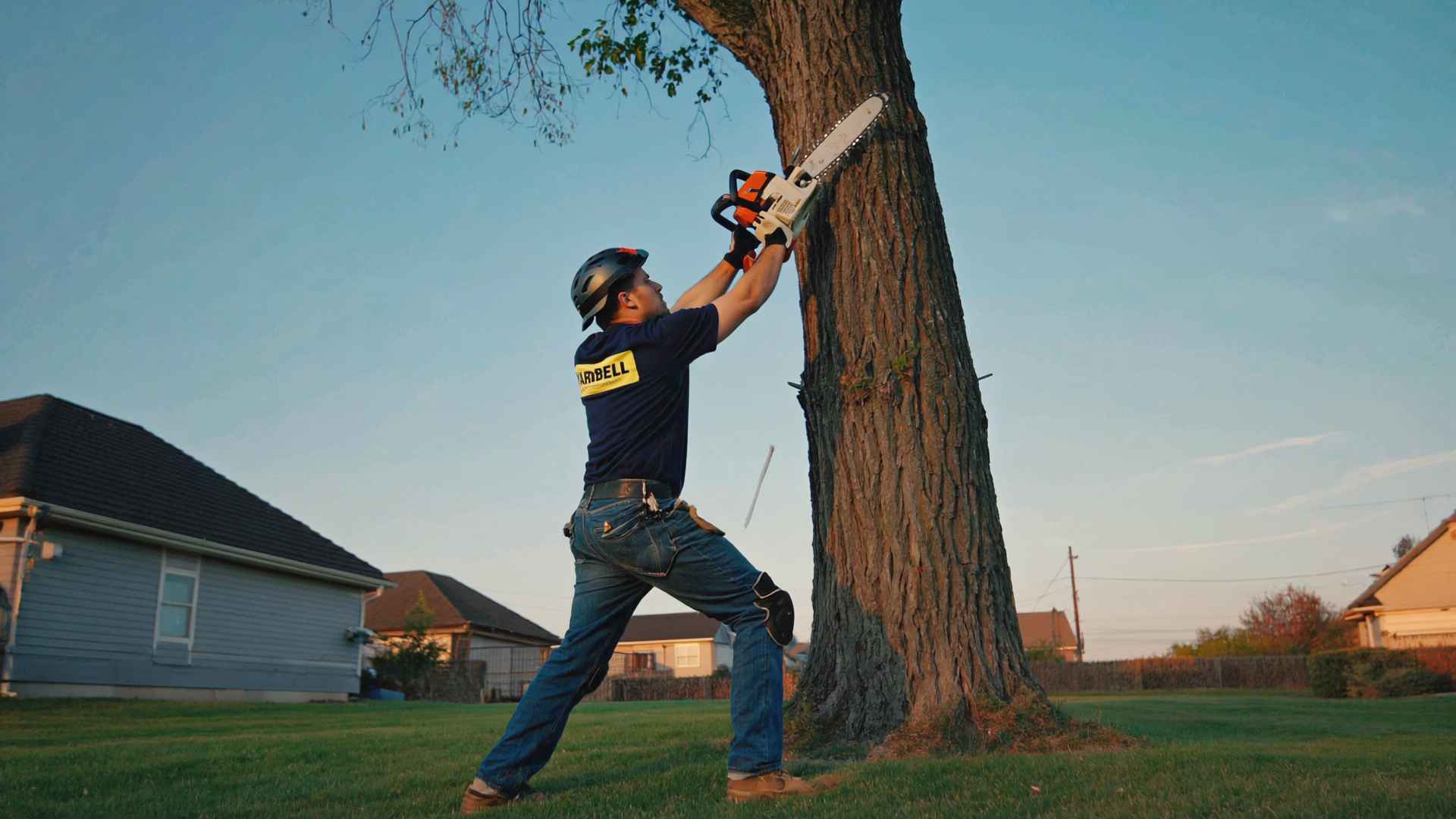 Tree cutting and pruning Tree cutting and pruning
