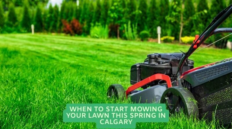 Lawn Mowing