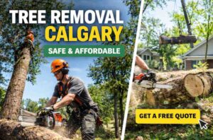 tree removal Calgary canada